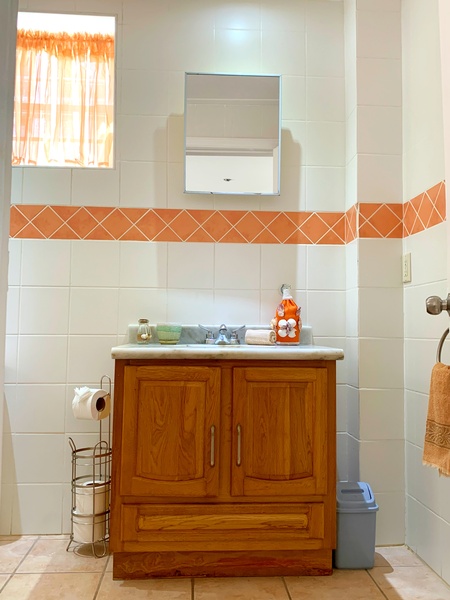 Picture of Master bathroom 