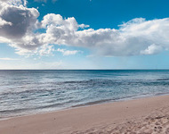 Picture of Dark wood beach